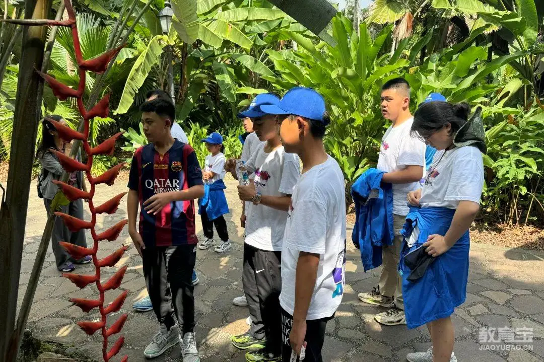 刻苦训练篮球时如何避免受伤的建议_0